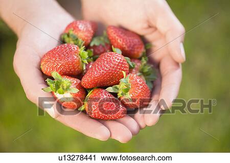 Strawberries View Large Photo Image Stock Image - Strawberries. Fotosearch