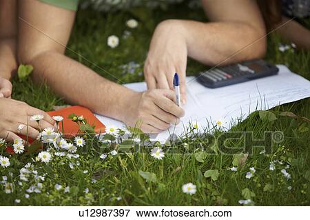 Students studying outdoors View Large Photo Image Stock Photo - Students studying outdoors. Fotosearch