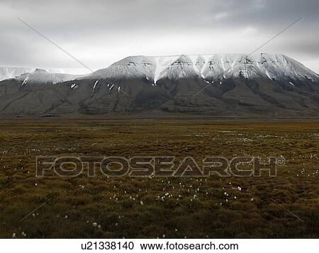 Stock Image - Svalbard landscape. Fotosearch