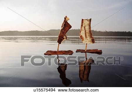 Picture - Two bark boats on a lake at sunset. Fotosearch