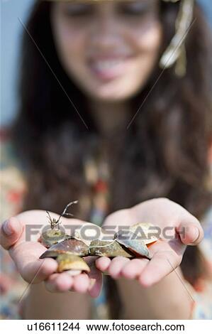 Picture - Woman finding shells at the beach. Fotosearch