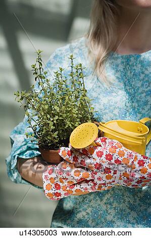 Woman holding watering can and plant View Large Photo Image Stock Image - Woman holding watering can and plant. Fotosearch