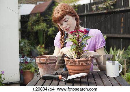 Picture - Woman repotting plant sitting in garden. Fotosearch