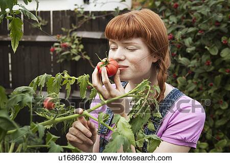 Stock Image - Woman smells homegrown tomato in garden. Fotosearch