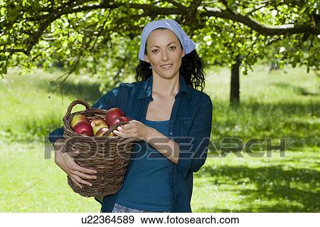 Woman with basket filled with apples View Large Photo Image Stock Photo - Woman with basket filled with apples. Fotosearch