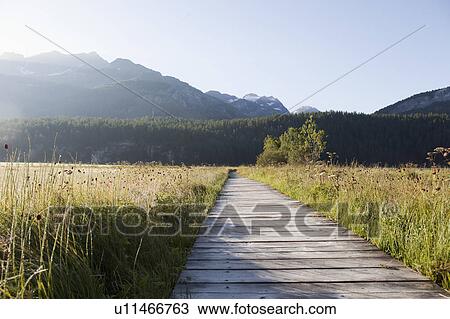 Stock Image - Wooden path through green grass. Fotosearch