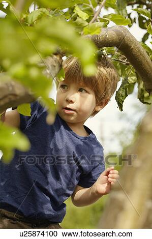 Stock Image - Young boy climbing tree. Fotosearch