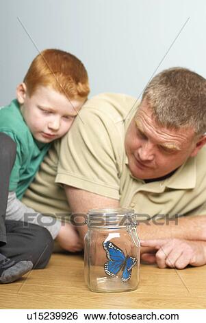 Stock Photograph - Young boy with dad looking a butterfly. Fotosearch