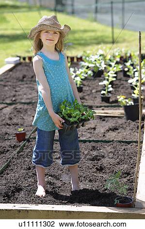 Young girl planting vegetables View Large Photo Image Stock Image - Young girl planting vegetables. Fotosearch