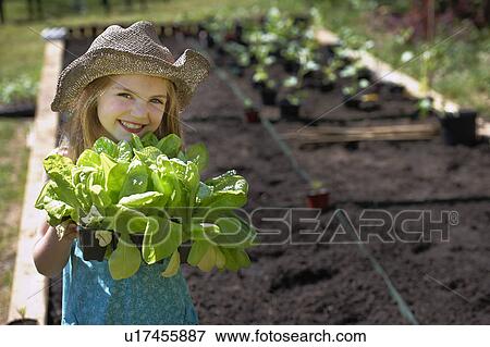 Young girl planting vegetables View Large Photo Image Stock Photo - Young girl planting vegetables. Fotosearch