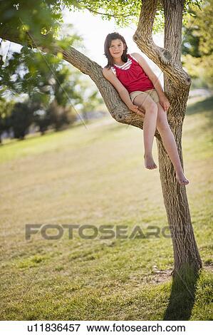 Young girl sitting in tree View Large Photo Image Stock Photo - Young girl sitting in tree. Fotosearch