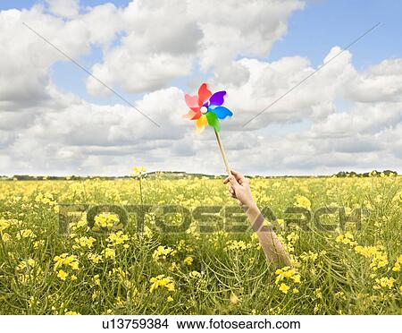 Arm holding windmill in yellow flowers View Large Photo Image Picture - Arm holding windmill in yellow flowers. Fotosearch