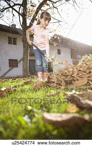 Picture - autumnal gardening. Fotosearch