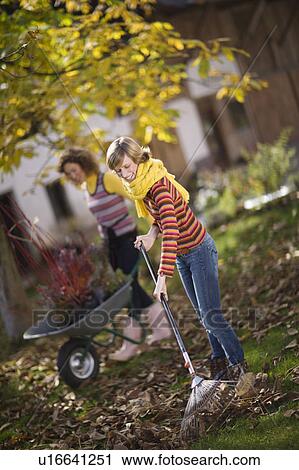 autumnal gardening View Large Photo Image Stock Image - autumnal gardening. Fotosearch