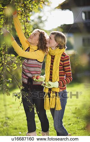 autumnal gardening View Large Photo Image Stock Image - autumnal gardening. Fotosearch