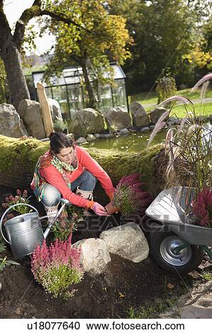 Stock Image - autumnal gardening. Fotosearch