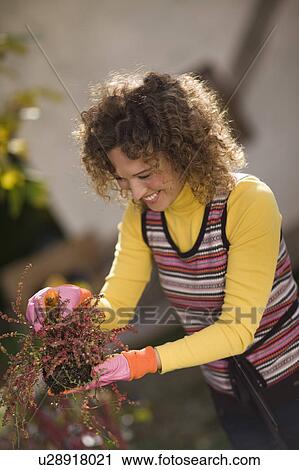 Stock Image - autumnal gardening. Fotosearch