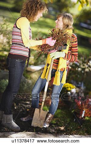 autumnal gardening View Large Photo Image Stock Photo - autumnal gardening. Fotosearch