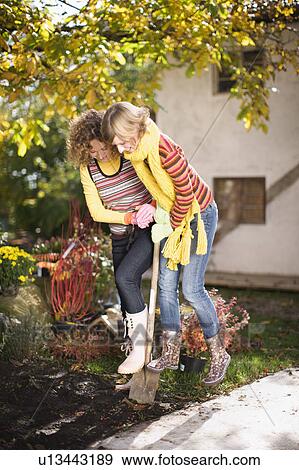 autumnal gardening View Large Photo Image Stock Photo - autumnal gardening. Fotosearch