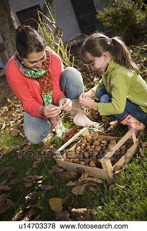 Stock Photo - autumnal gardening. Fotosearch