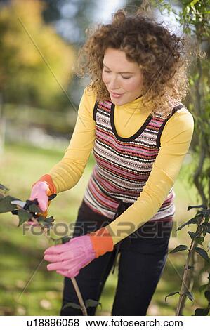 Stock Photo - autumnal gardening. Fotosearch