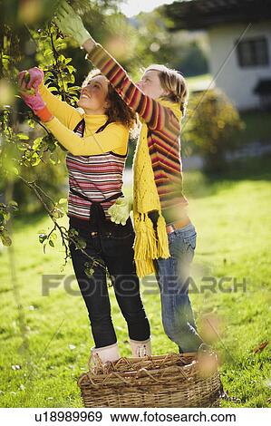autumnal gardening View Large Photo Image Stock Photo - autumnal gardening. Fotosearch