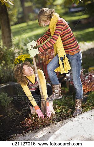autumnal gardening View Large Photo Image Stock Photograph - autumnal gardening. Fotosearch