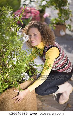 autumnal gardening View Large Photo Image Stock Photograph - autumnal gardening. Fotosearch