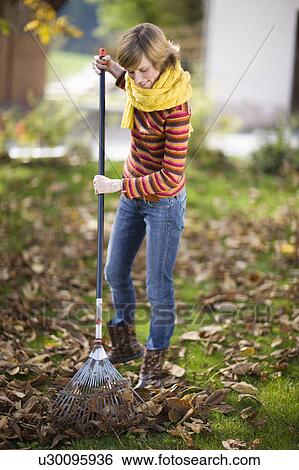 Stock Photograph - autumnal gardening. Fotosearch