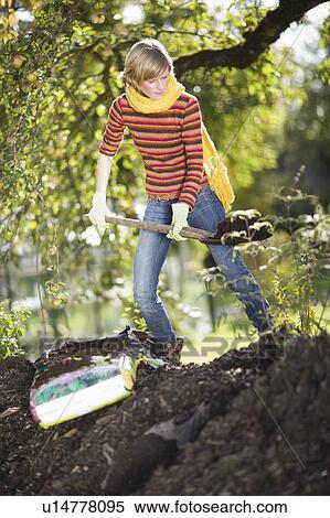 Stock Photography - autumnal gardening. Fotosearch