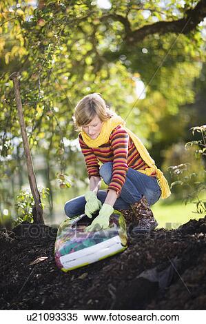 Stock Photography - autumnal gardening. Fotosearch