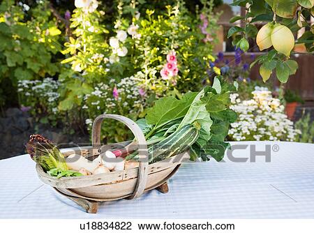 Stock Image - basket with fresh vegetables on table.. Fotosearch