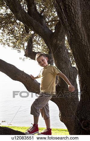 Stock Image - Boy climbing tree. Fotosearch