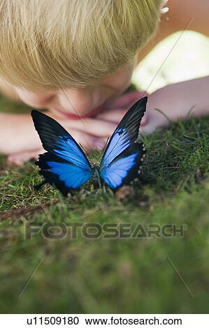 Boy looking at a Butterfly View Large Photo Image Stock Image - Boy looking at a Butterfly. Fotosearch