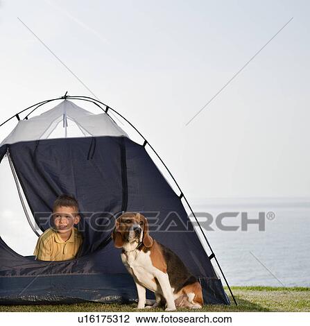 Stock Image - Boy with dog in tent by sea. Fotosearch