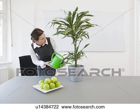 Stock Image - Businesswoman watering plant. Fotosearch