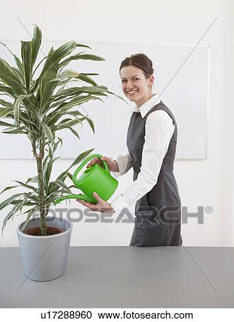 Businesswoman watering plant View Large Photo Image Stock Image - Businesswoman watering plant. Fotosearch