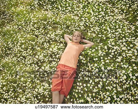 Child lying in field of daisies View Large Photo Image Stock Photo - Child lying in field of daisies. Fotosearch
