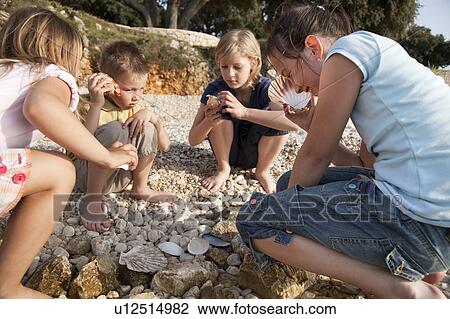 Children listening to shells at beach View Large Photo Image Stock Image - Children listening to shells at beach. Fotosearch