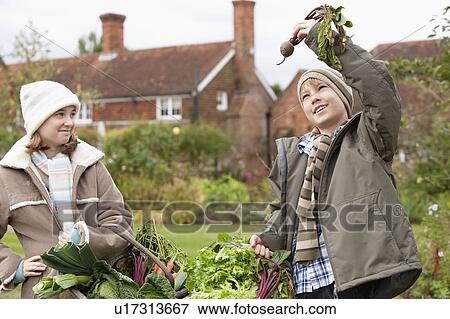 Children picking vegetables from garden View Large Photo Image Stock Photo - Children picking vegetables from garden. Fotosearch