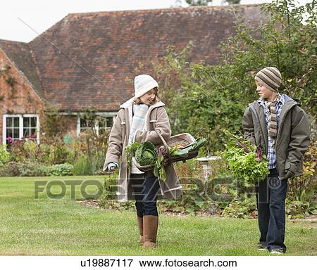 Stock Photo - Children picking vegetables from garden. Fotosearch
