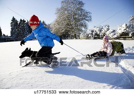 Children playing on sledge in the snow View Large Photo Image Stock Image - Children playing on sledge in the snow. Fotosearch