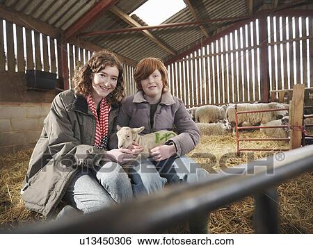 Children With Young Lamb View Large Photo Image Stock Photograph - Children With Young Lamb. Fotosearch