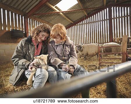 Children With Young Lambs View Large Photo Image Stock Photo - Children With Young Lambs. Fotosearch