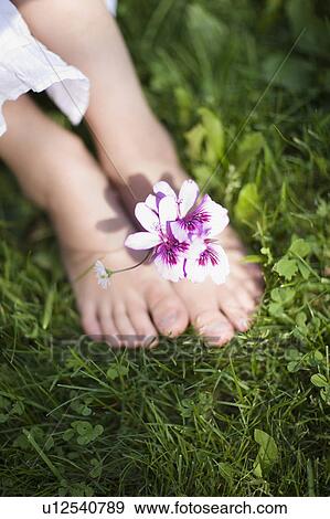 Childrens feet with a flower View Large Photo Image Stock Photo - Childrens feet with a flower. Fotosearch