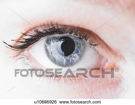 Close up of a woman's eye View Large Photo Image Stock Photograph - Close up of a woman's eye. Fotosearch
