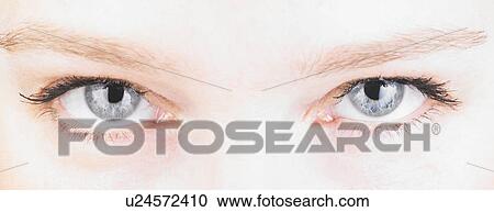 Close up of a woman's eyes View Large Photo Image Stock Image - Close up of a woman's eyes. Fotosearch
