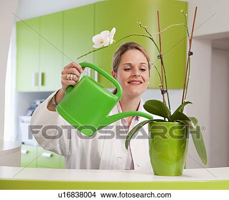 Picture - Doctor watering plant. Fotosearch
