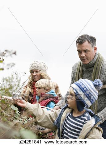 Family picking blackberries View Large Photo Image Stock Image - Family picking blackberries. Fotosearch