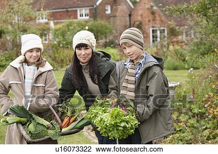 Family picking vegetables in garden View Large Photo Image Stock Image - Family picking vegetables in garden. Fotosearch